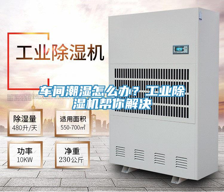 車間潮濕怎么辦？工業(yè)除濕機(jī)幫你解決