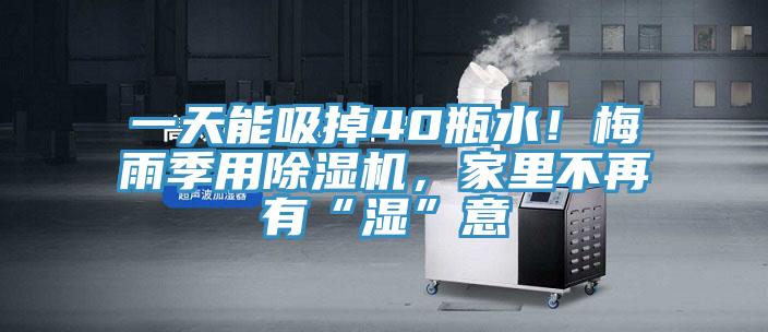 一天能吸掉40瓶水!梅雨季用除濕機,家里不再有“濕”意