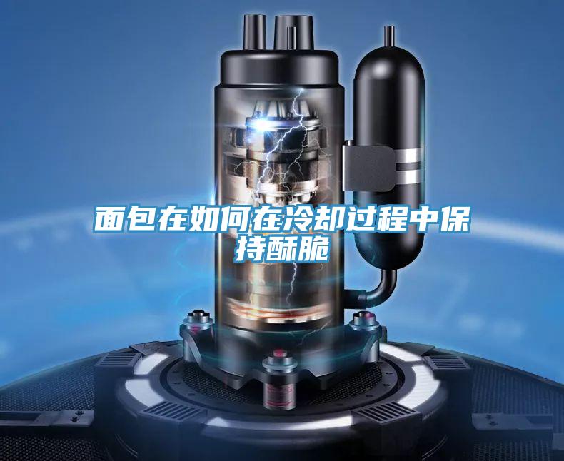 面包在如何在冷卻過程中保持酥脆