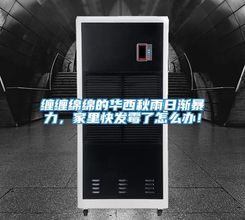 纏纏綿綿的華西秋雨日漸暴力,家里快發霉了怎么辦!