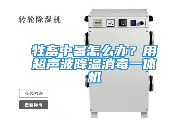 牲畜中暑怎么辦？用超聲波降溫消毒一體機