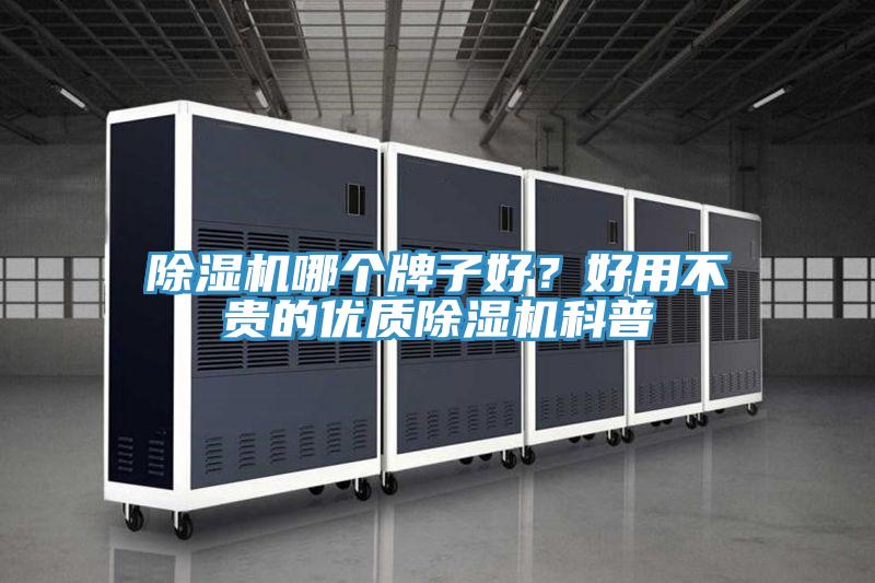 除濕機哪個牌子好？好用不貴的優質除濕機科普