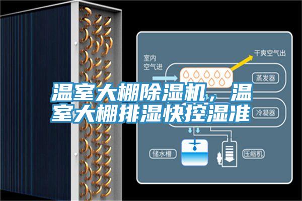 溫室大棚除濕機(jī),溫室大棚排濕快控濕準(zhǔn)