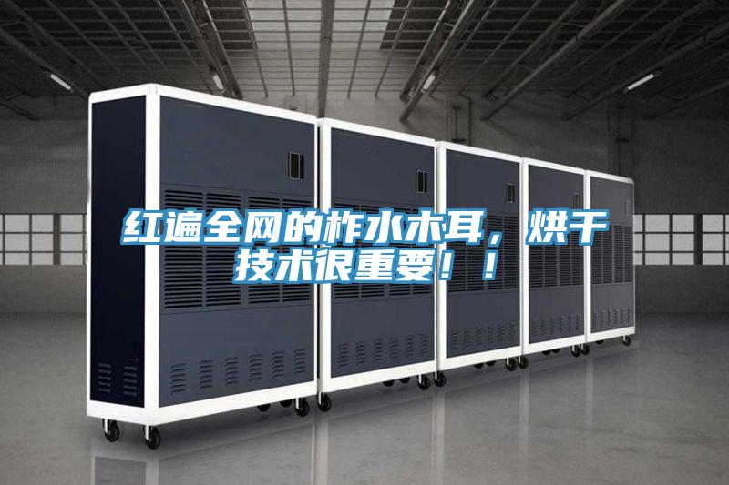 紅遍全網的柞水木耳,烘干技術很重要!!