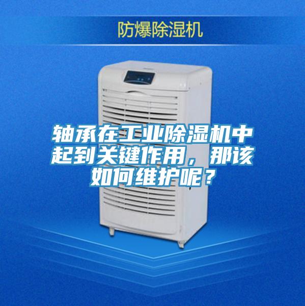 軸承在工業除濕機中起到關鍵作用，那該如何維護呢？