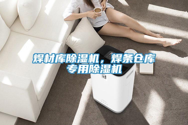焊材庫(kù)除濕機(jī)，焊條倉(cāng)庫(kù)專(zhuān)用除濕機(jī)