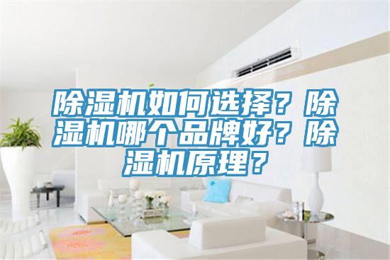 除濕機如何選擇?除濕機哪個品牌好?除濕機原理?
