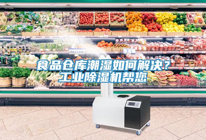 食品倉庫潮濕如何解決?工業除濕機幫您