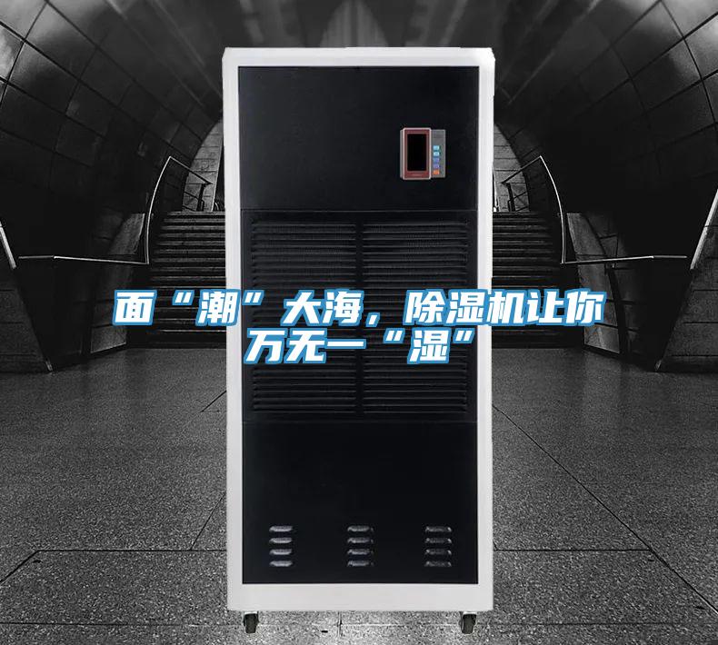 面“潮”大海，除濕機讓你萬無一“濕”