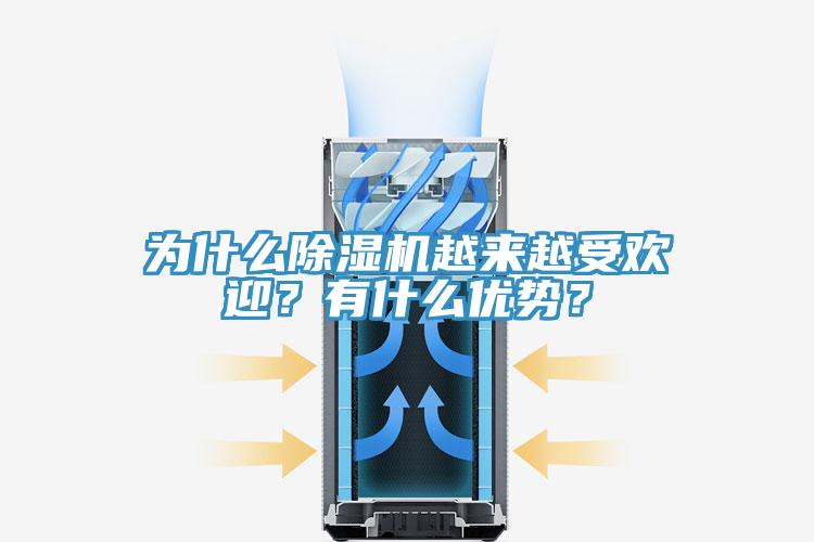 為什么除濕機越來越受歡迎？有什么優勢？