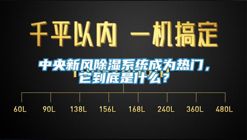 中央新風(fēng)除濕系統(tǒng)成為熱門，它到底是什么？