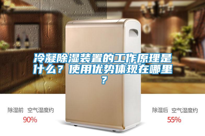 冷凝除濕裝置的工作原理是什么？使用優勢體現在哪里？