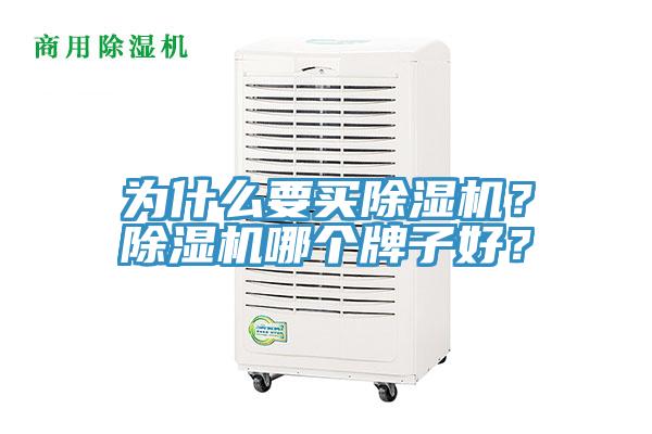 為什么要買除濕機？除濕機哪個牌子好？
