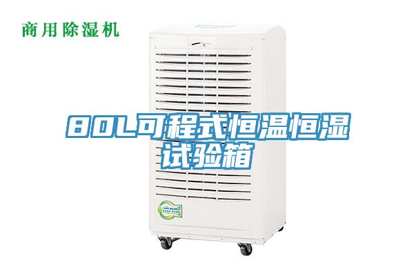 80L可程式恒溫恒濕試驗(yàn)箱