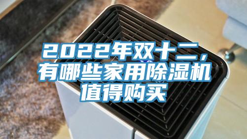 2022年雙十二,有哪些家用除濕機值得購買