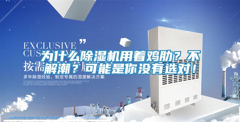 為什么除濕機用著雞肋？不解潮？可能是你沒有選對！