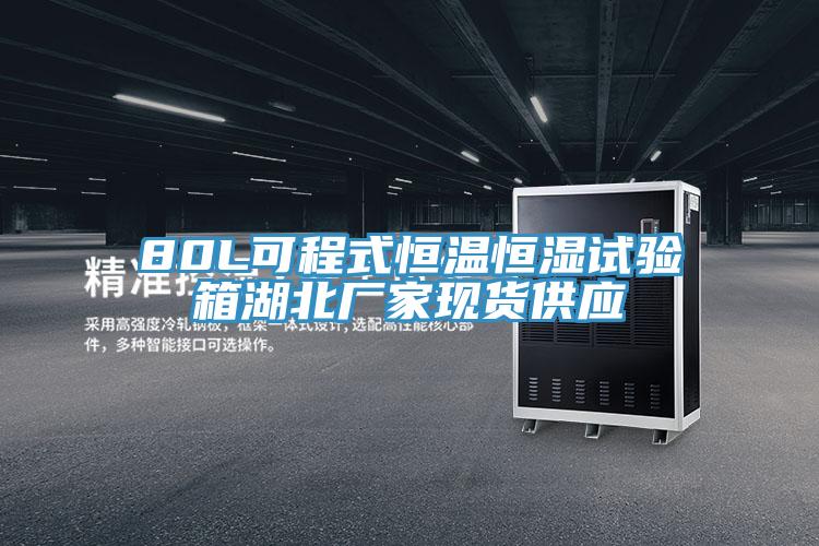 80L可程式恒溫恒濕試驗(yàn)箱湖北廠(chǎng)家現(xiàn)貨供應(yīng)
