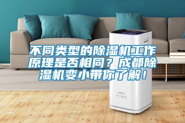 不同類型的除濕機工作原理是否相同？成都除濕機變小帶你了解！
