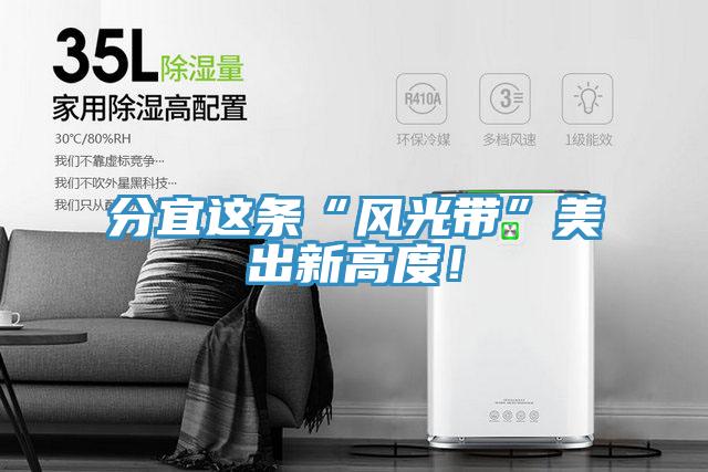 分宜這條“風光帶”美出新高度！