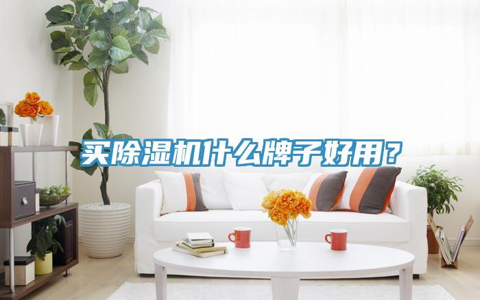 買除濕機(jī)什么牌子好用？