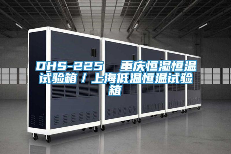 DHS-225 重慶恒濕恒溫試驗(yàn)箱/上海低溫恒溫試驗(yàn)箱