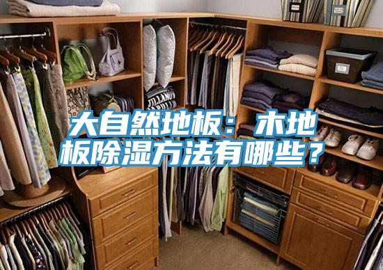 大自然地板:木地板除濕方法有哪些?