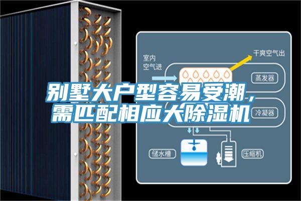 別墅大戶型容易受潮,需匹配相應大除濕機