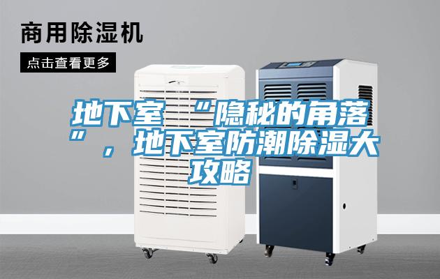 地下室≠“隱秘的角落”,地下室防潮除濕大攻略