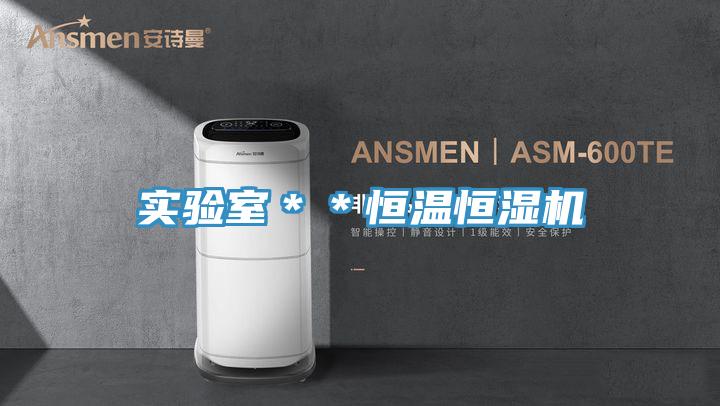 實驗室＊＊恒溫恒濕機(jī)