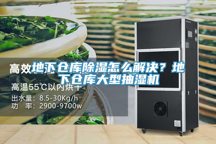 地下倉庫除濕怎么解決?地下倉庫大型抽濕機(jī)