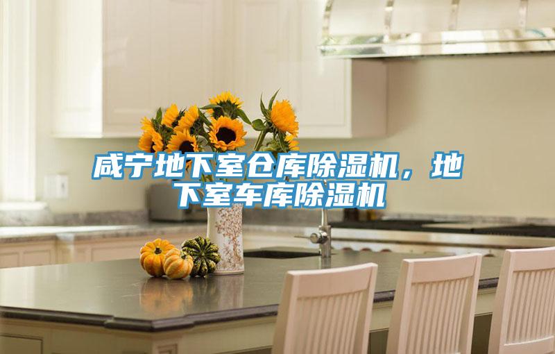 咸寧地下室倉庫除濕機,地下室車庫除濕機