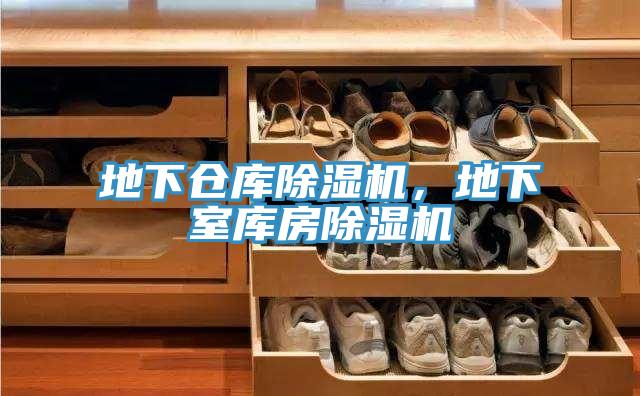 地下倉庫除濕機(jī),地下室?guī)旆砍凉駲C(jī)