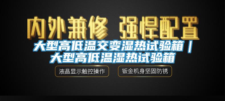 大型高低溫交變濕熱試驗箱|大型高低溫濕熱試驗箱