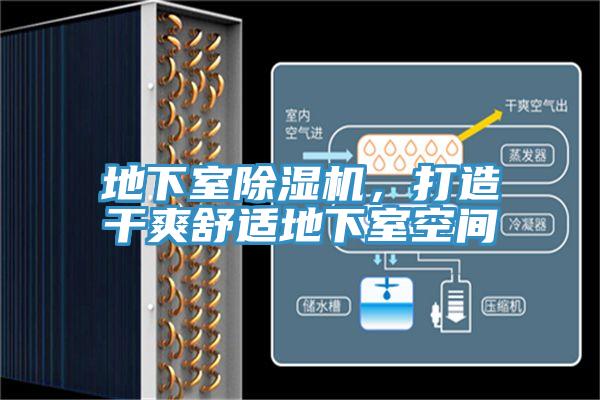 地下室除濕機，打造干爽舒適地下室空間