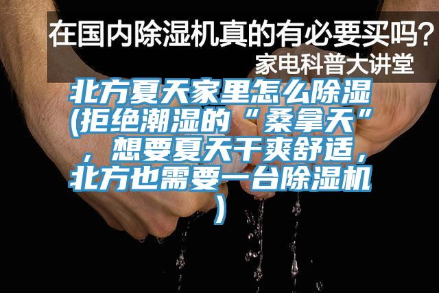 北方夏天家里怎么除濕(拒絕潮濕的“桑拿天”,想要夏天干爽舒適,北方也需要一臺除濕機)