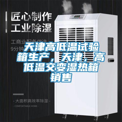 天津高低溫試驗箱生產,天津,高低溫交變濕熱箱銷售