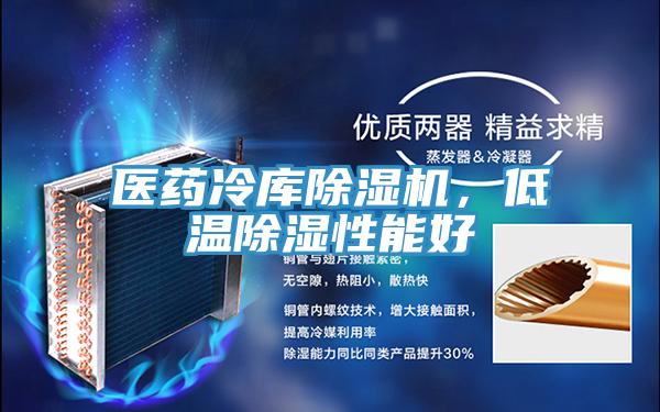 醫(yī)藥冷庫除濕機(jī)，低溫除濕性能好