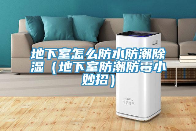 地下室怎么防水防潮除濕(地下室防潮防霉小妙招)