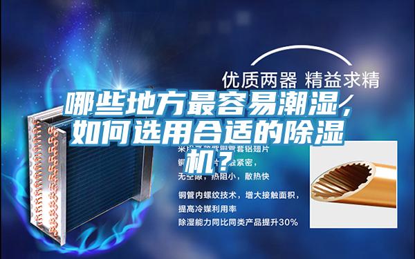 哪些地方最容易潮濕,如何選用合適的除濕機(jī)?