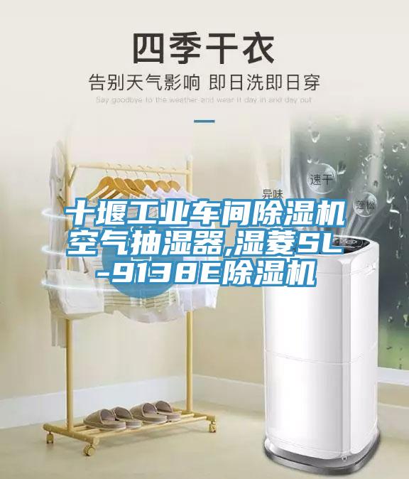 十堰工業(yè)車(chē)間除濕機(jī)空氣抽濕器,濕菱SL-9138E除濕機(jī)