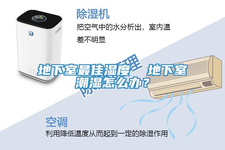 地下室最佳濕度  地下室潮濕怎么辦？