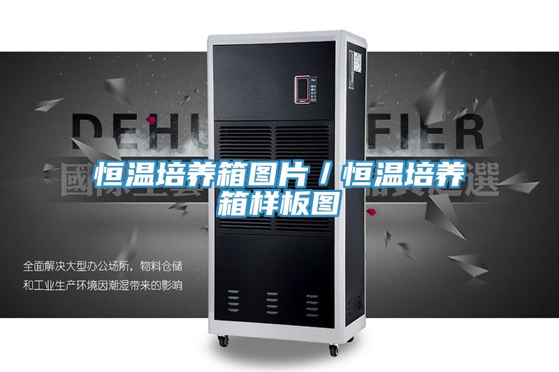 恒溫培養(yǎng)箱圖片/恒溫培養(yǎng)箱樣板圖