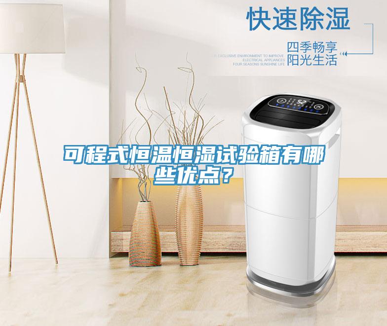 可程式恒溫恒濕試驗箱有哪些優(yōu)點(diǎn)？