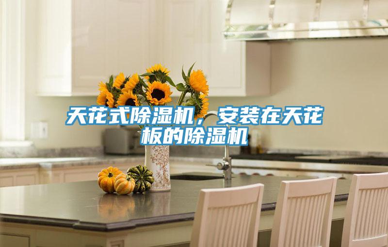 天花式除濕機,安裝在天花板的除濕機