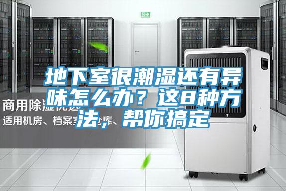 地下室很潮濕還有異味怎么辦?這8種方法,幫你搞定