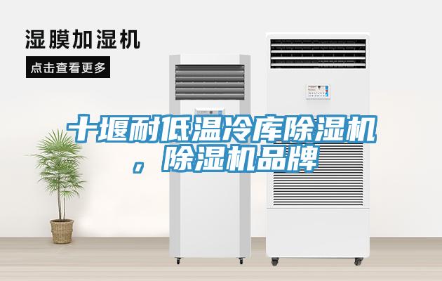 十堰耐低溫冷庫除濕機，除濕機品牌