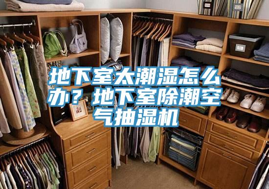 地下室太潮濕怎么辦?地下室除潮空氣抽濕機