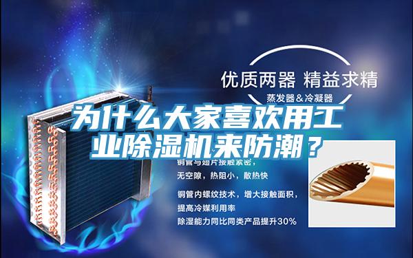 為什么大家喜歡用工業除濕機來防潮？