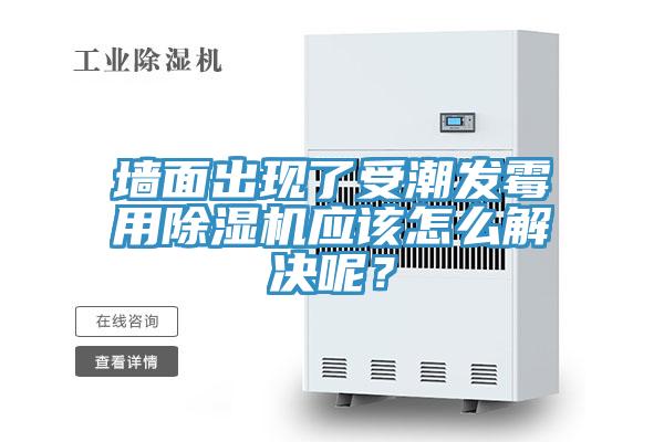 墻面出現了受潮發霉用除濕機應該怎么解決呢？