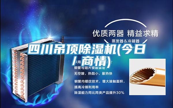 四川吊頂除濕機(jī)(今日/商情)